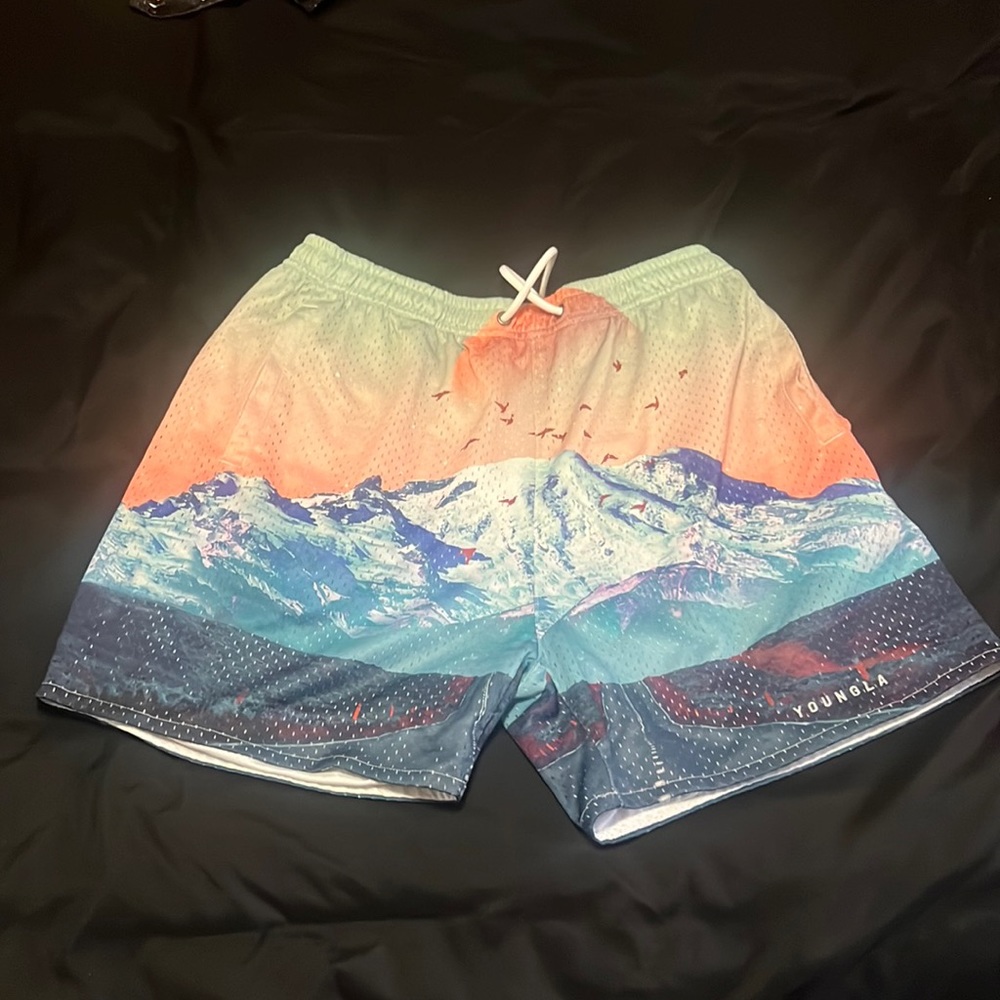 YoungLa shorts only worn a few times
